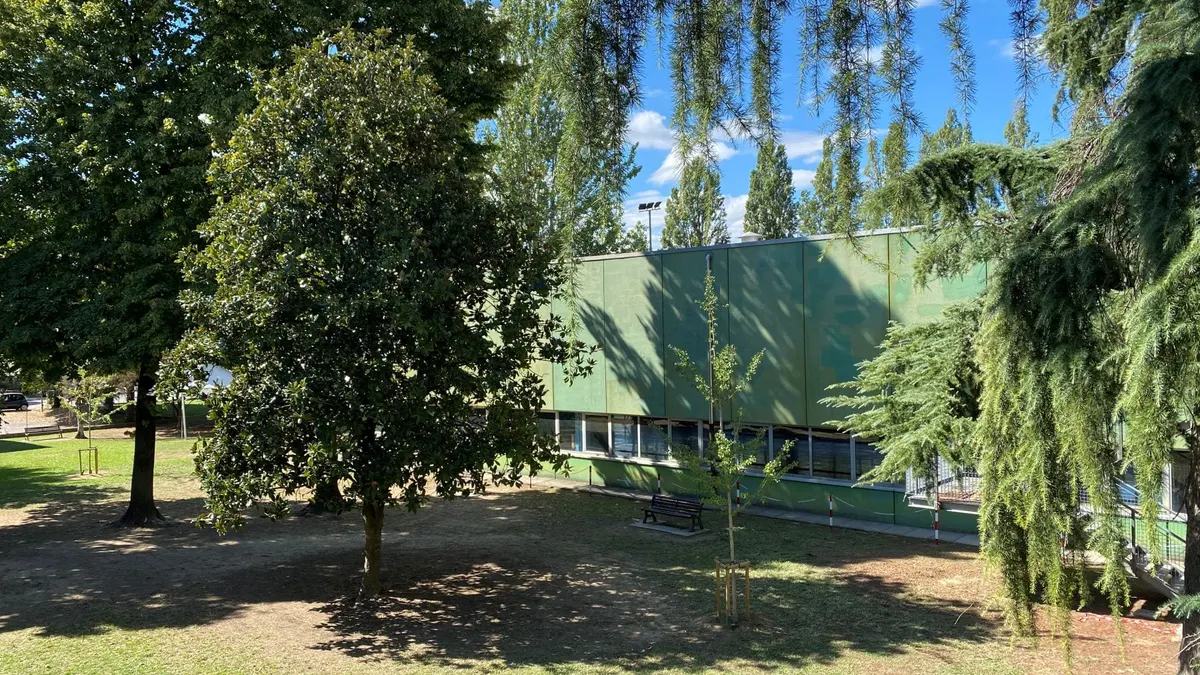 Giardino di una scuola con alberi e, sullo sfondo, un edificio dalla facciata verde
